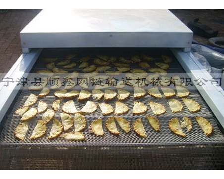 惠州网带食品输送机