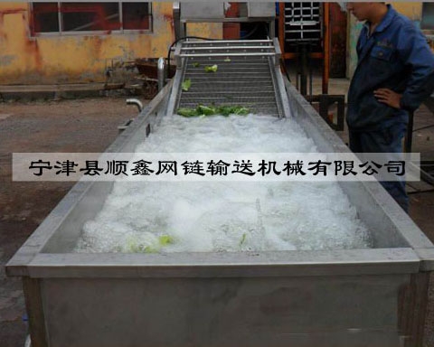 惠州网带清洗输送机