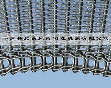 惠州冷冻传送式螺旋网带
