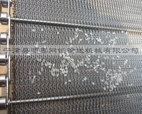 惠州大米清洗网带