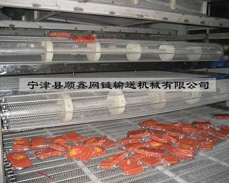 惠州食品网带