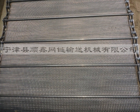 惠州人字型链条网带